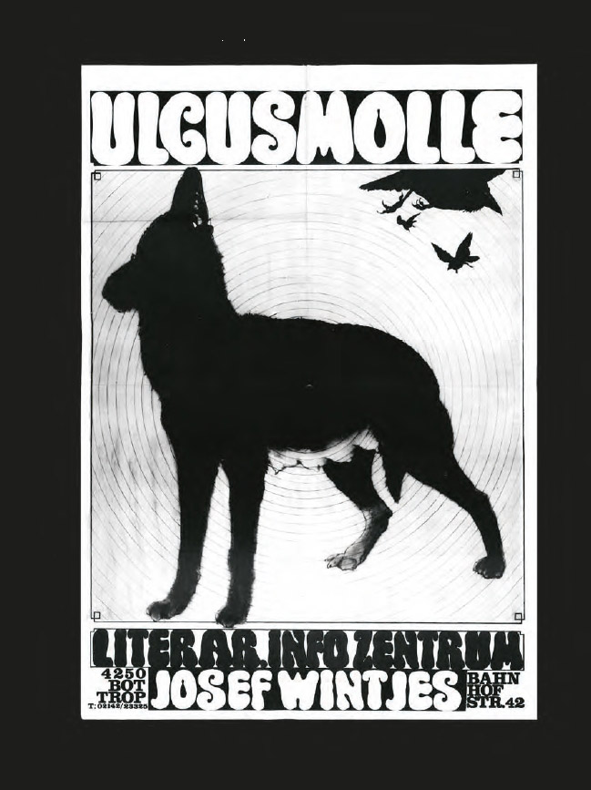 Ulcus Molle Info (Poster)
